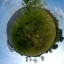 Only real change can save the planet